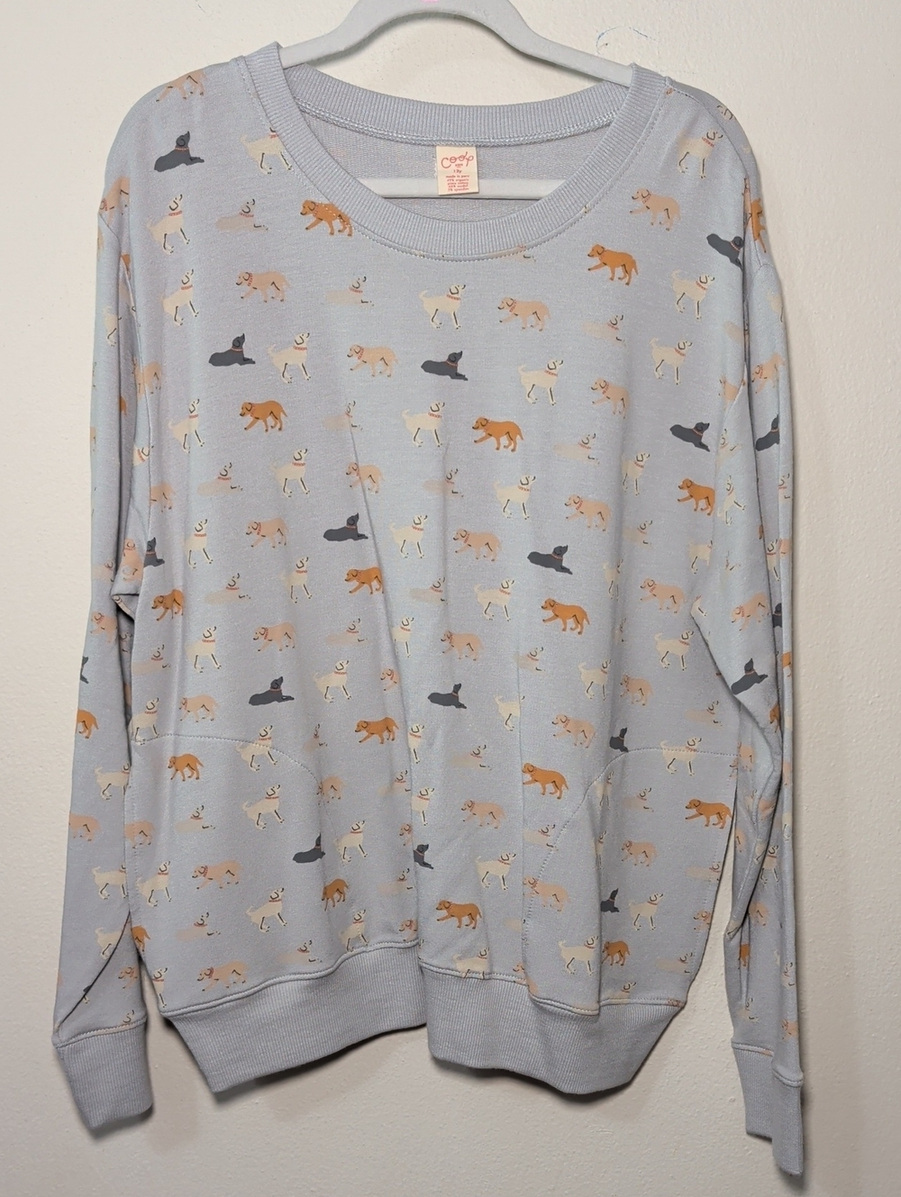 Coop Kids by Pink Chicken Play Sweatshirt in Labs Print Light Blue Kids Size 12
